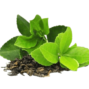 1 39c25a34 db7a 458b 8506 437fb5543fec removebg preview 1 1 | Spectra Vitamins March 26, 2026