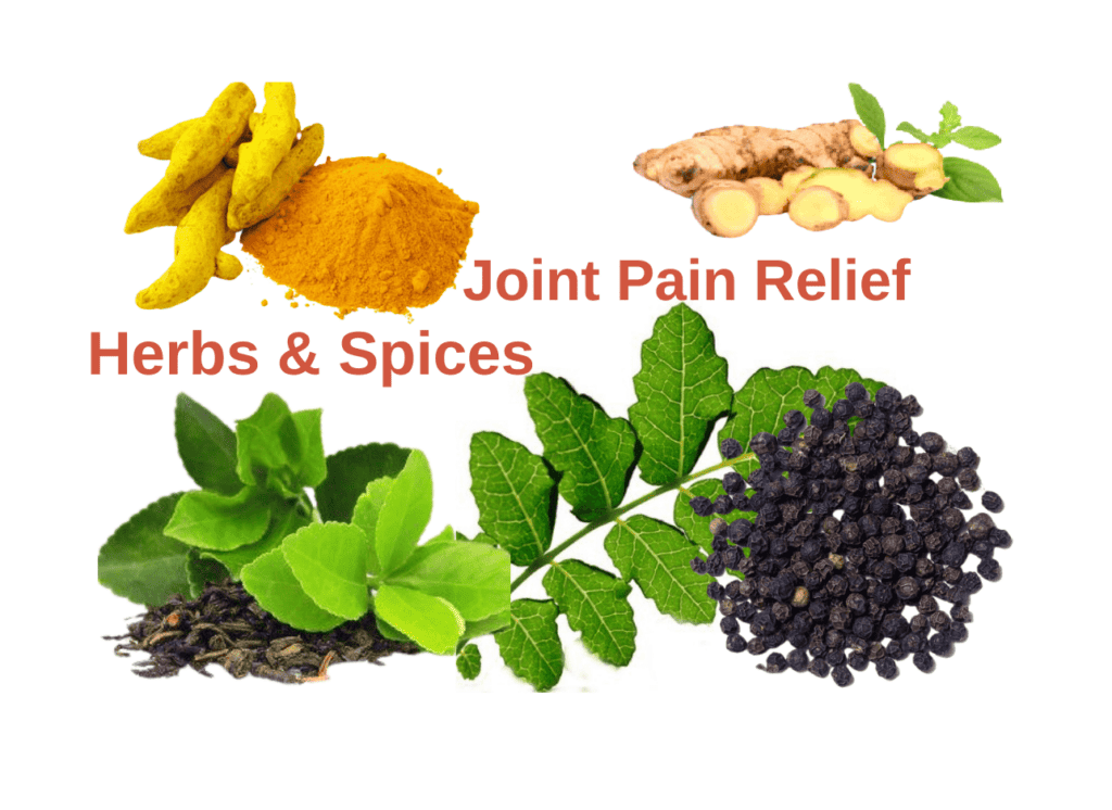 SHOP NOW12 1 | Spectra Vitamins March 26, 2026