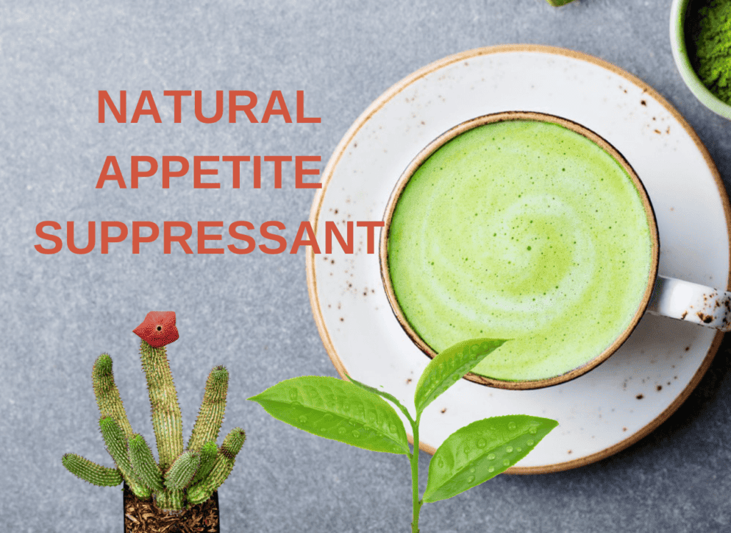 SHOP NOW13 1 | Spectra Vitamins March 26, 2026