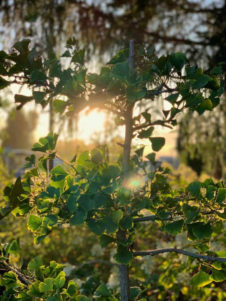 agent j N2RvFANF ao unsplash 768x1024 1 | Spectra Vitamins March 26, 2026