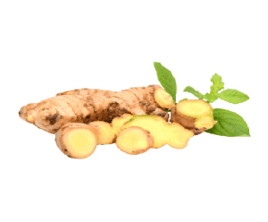 ginger extract 500x500 removebg preview 300x248 1 1 | Spectra Vitamins March 26, 2026