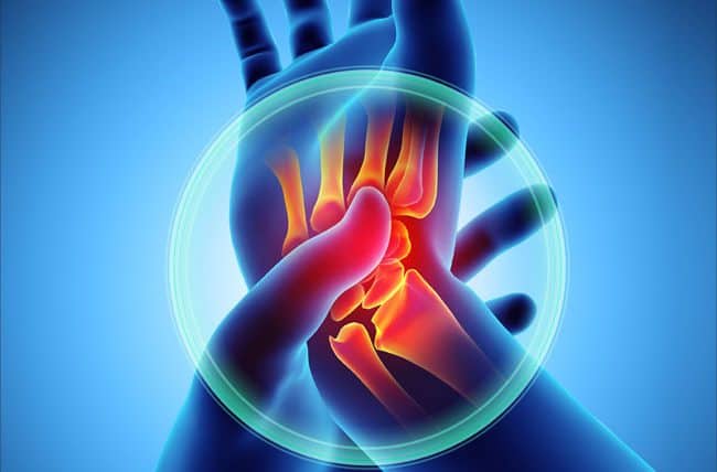 joint support fb 1 | Spectra Vitamins March 26, 2026