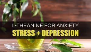 l theanine for anxiety e1577787691921 300x172 1 | Spectra Vitamins March 26, 2026