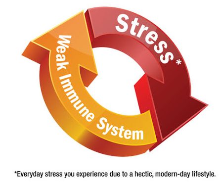 stressandimmune e1591255818900 1 | Spectra Vitamins March 26, 2026